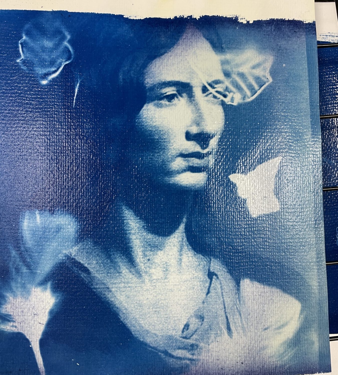 Drying Cyanotype